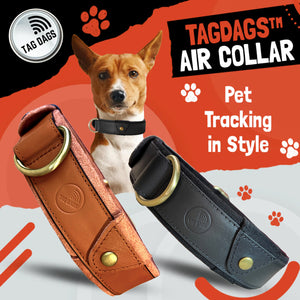 TagDags AirCollar